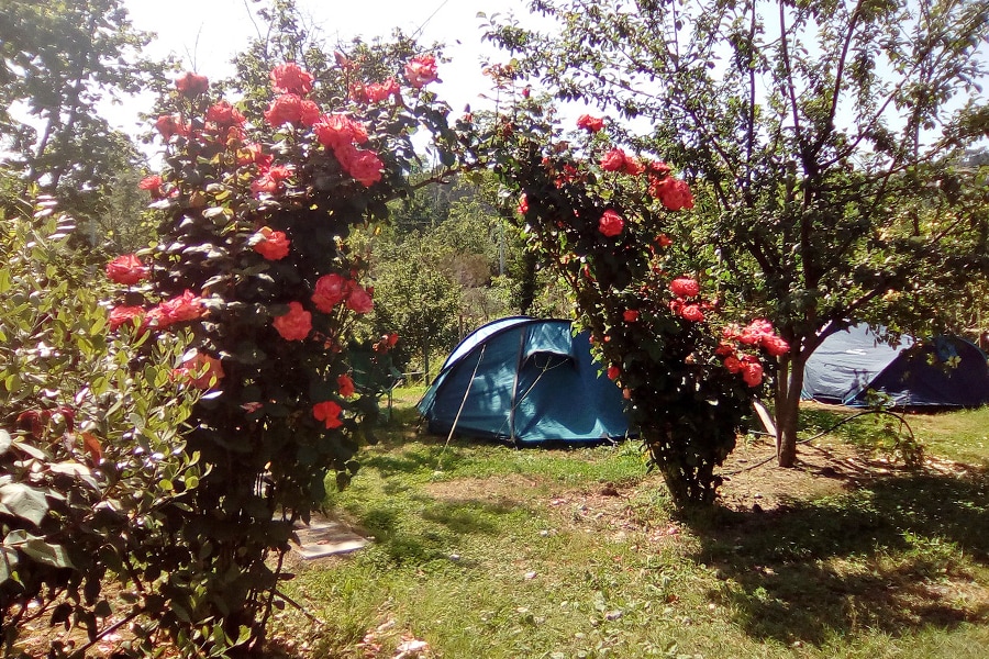 Vakantie naar Agricamping Oasi del Belvivere in La Spezia in Italië