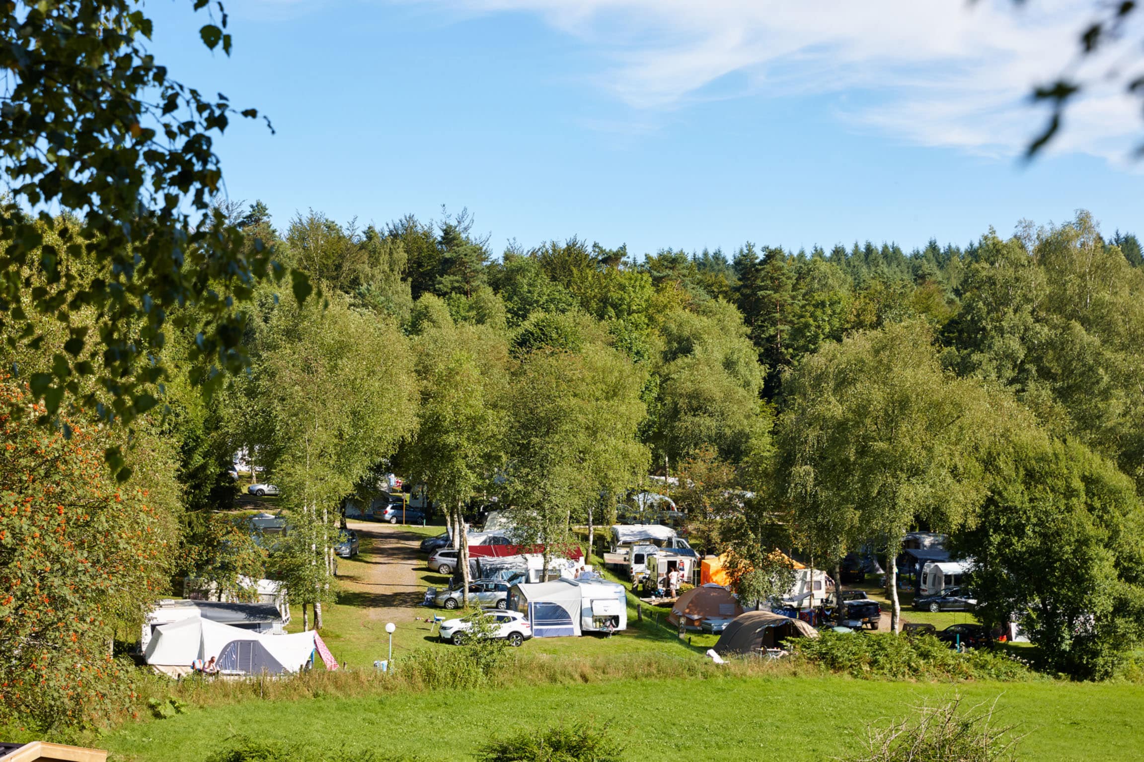 Ardennen Camping Bertrix vanaf € -!