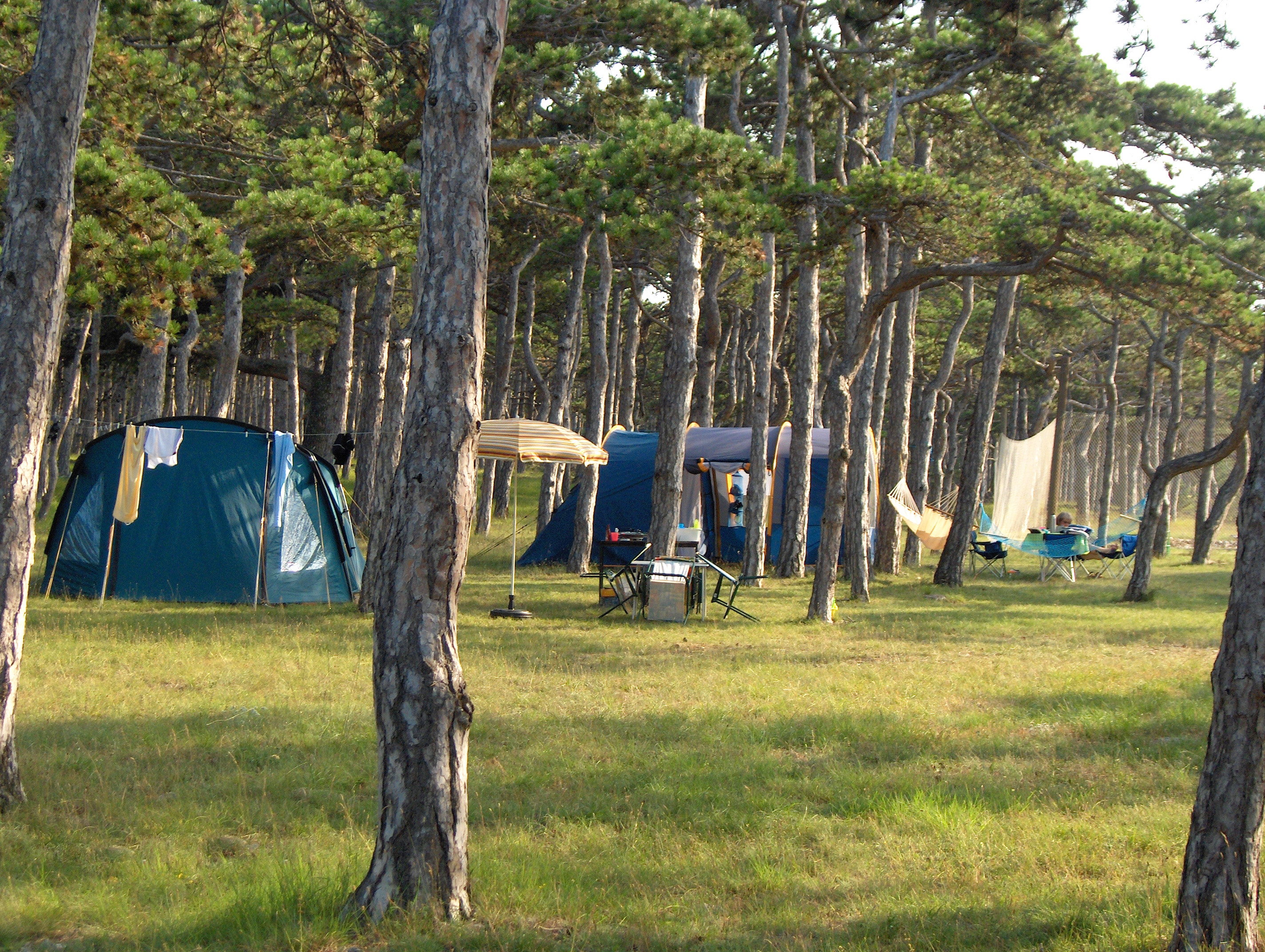 Vakantie naar Autocamp Planik in Zadar in Kroatië