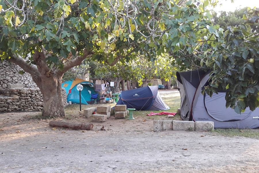 Vakantie naar Azienda Agrituristica Malapezza in Lecce in Italië