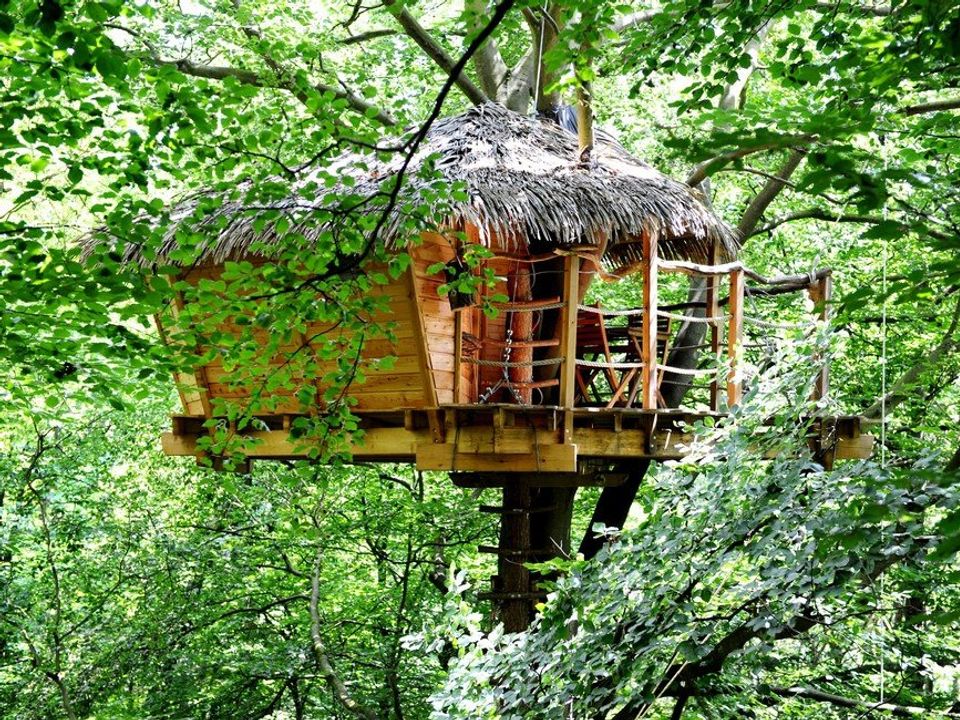 Vakantie naar Cabanes de Fontaine Châtel in Saint Germain Des Essourts in Frankrijk