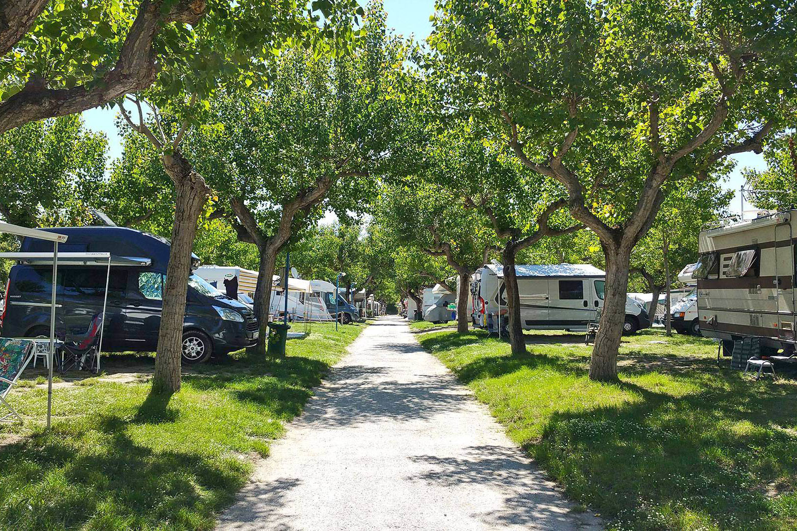 Vakantie naar Camping Adria in Rimini in Italië