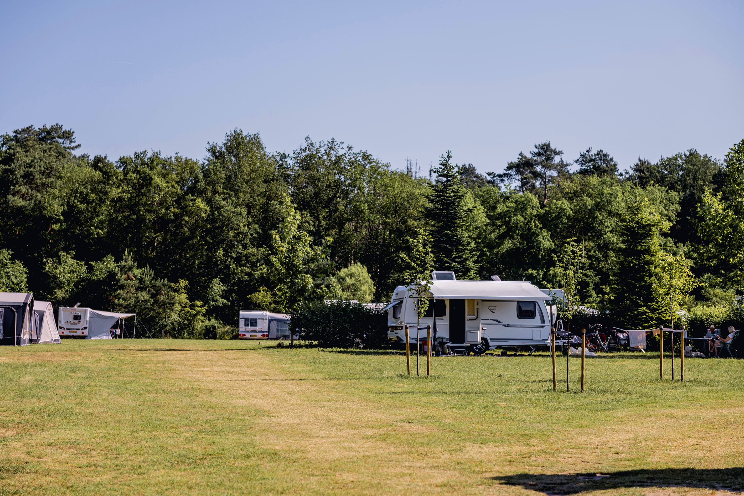 Vakantie naar Camping De Bovenberg in Overijssel in Nederland