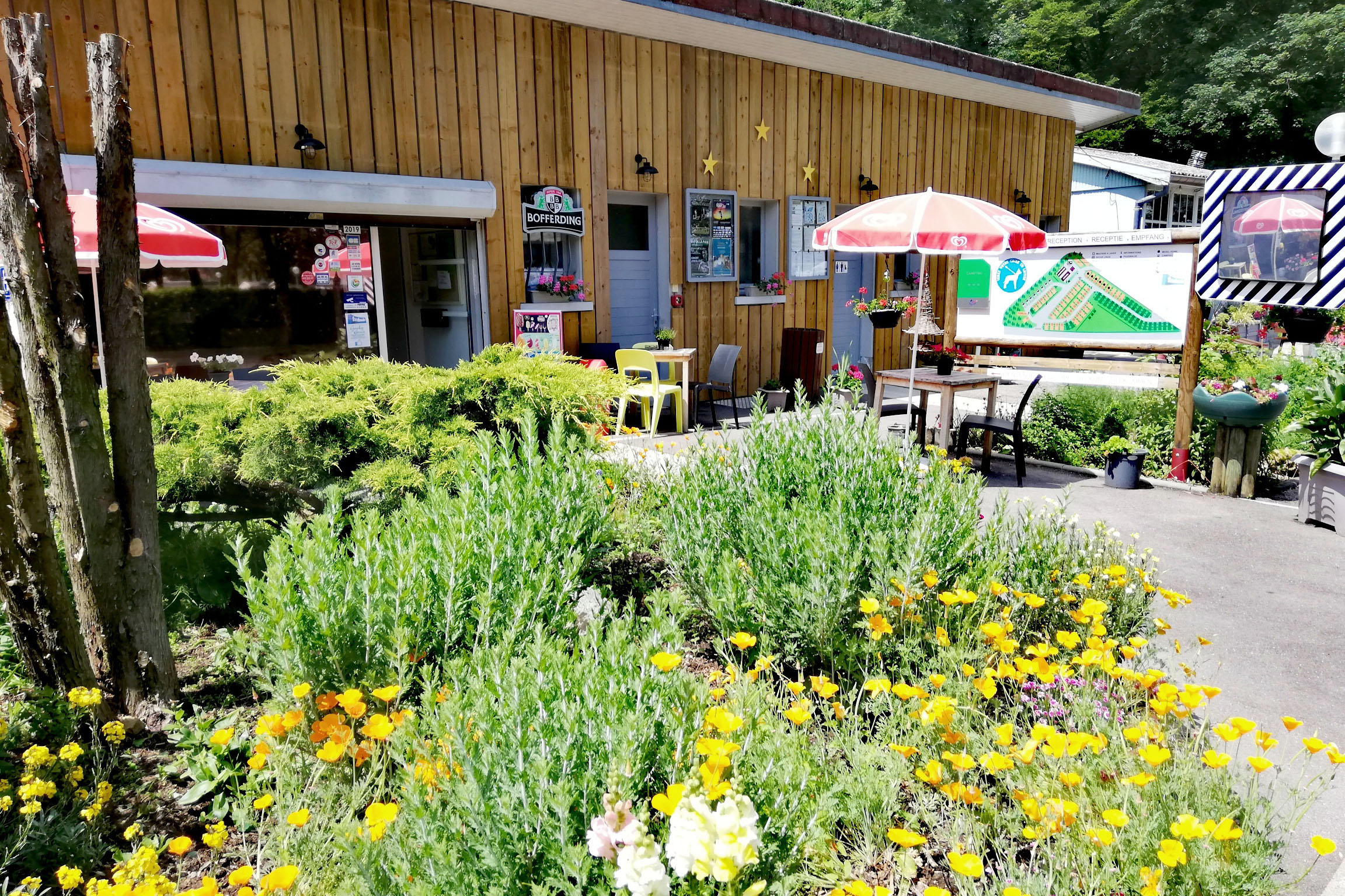 Vakantie naar Camping de Contrexéville in Vosges in Frankrijk