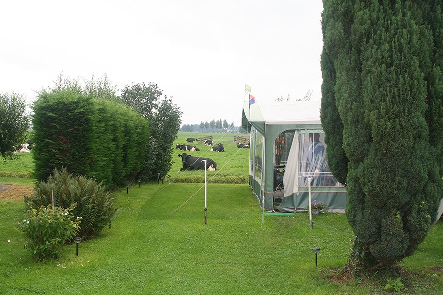 Vakantie naar Camping De Grienduil in Utrecht in Nederland