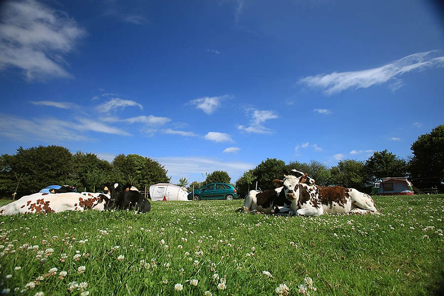 Vakantie naar Camping De la Ferme de Croas Men in Finistère in Frankrijk