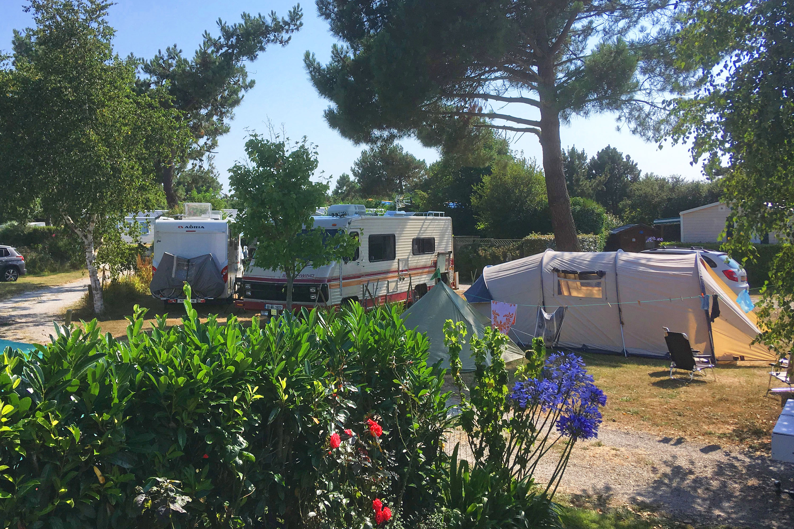 Vakantie naar Camping de la Plage in Manche in Frankrijk