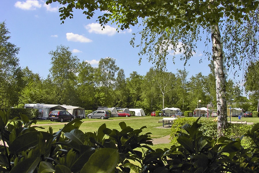 Vakantie naar Camping de Vechtvallei in Overijssel in Nederland