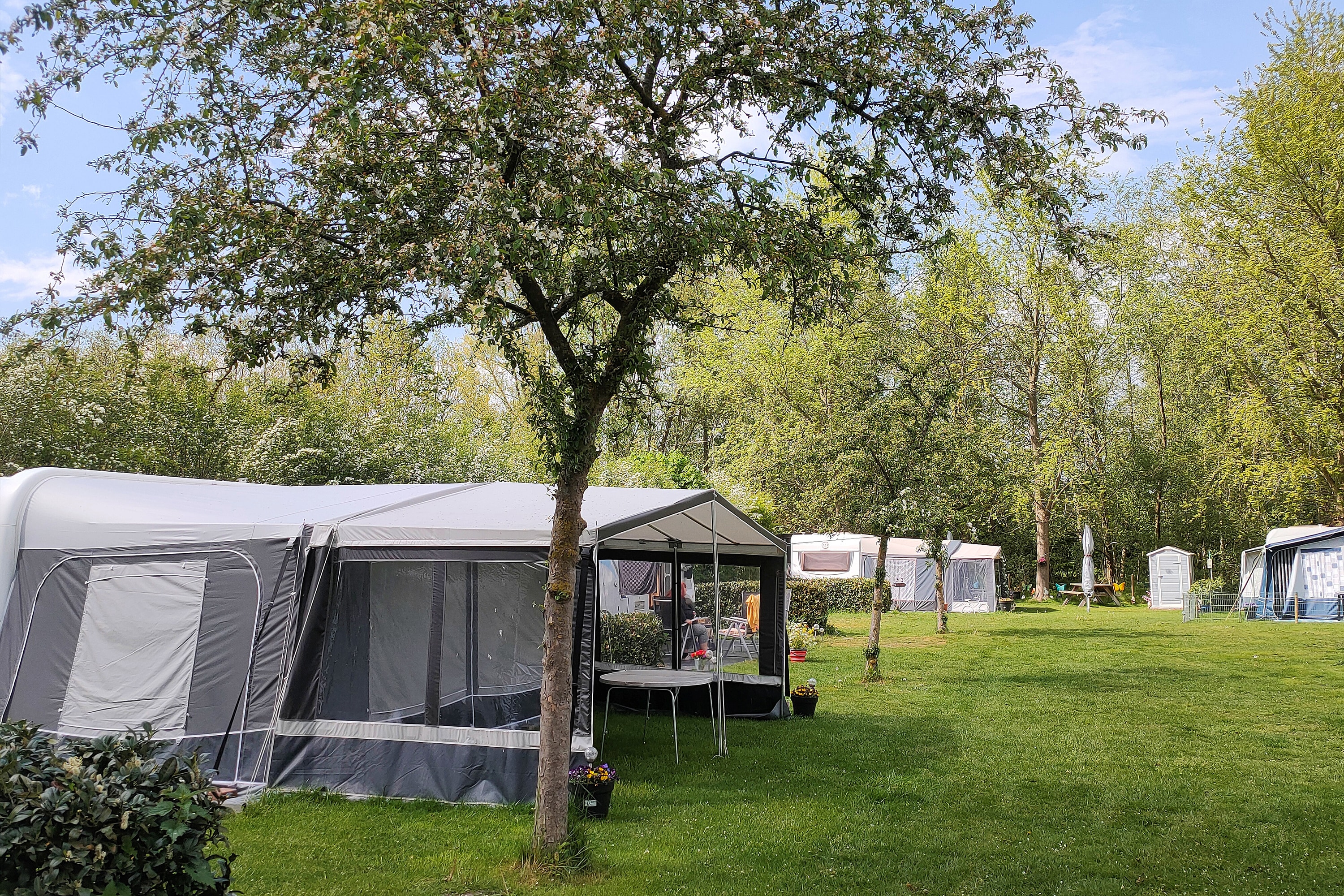 Vakantie naar Camping De Zwammenberg in Noord Brabant in Nederland