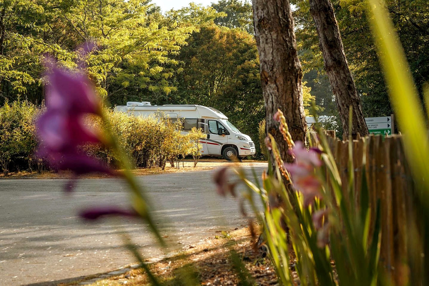 Vakantie naar Camping des Gayeulles in Ille Et Vilaine in Frankrijk