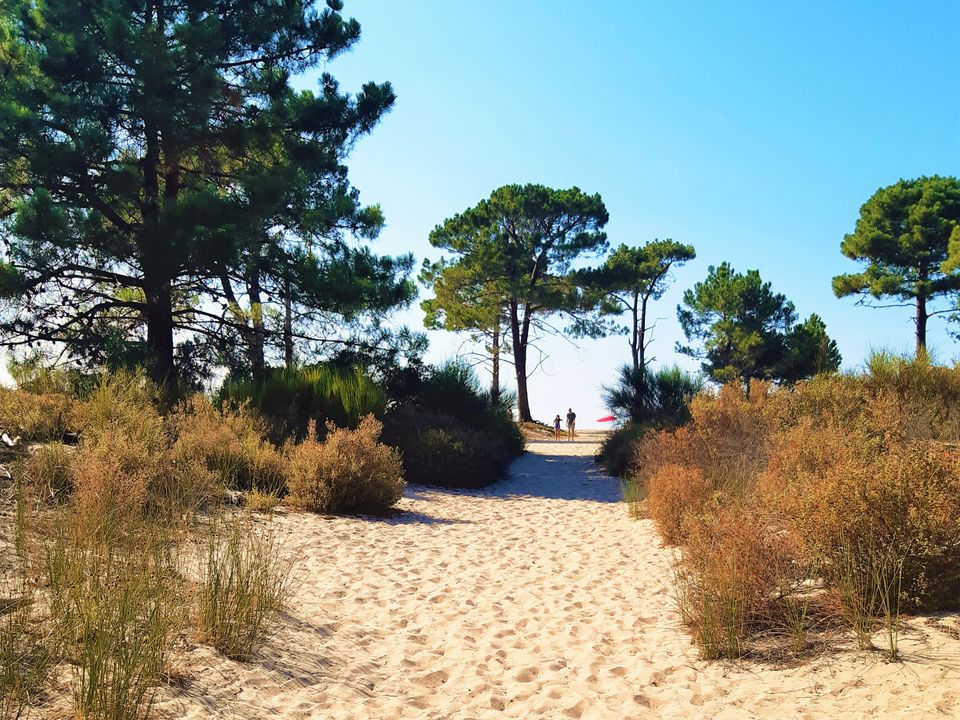 Vakantie naar Camping Dolce Vita in Calvi in Frankrijk