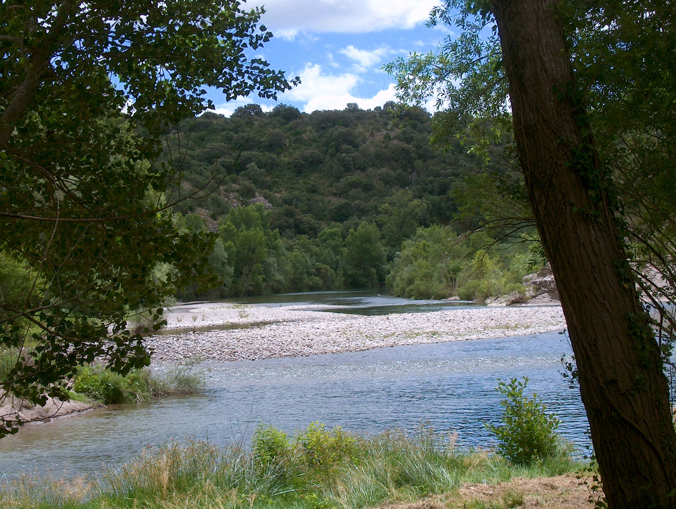 Vakantie naar Camping Domaine d'Anglas in Hérault in Frankrijk