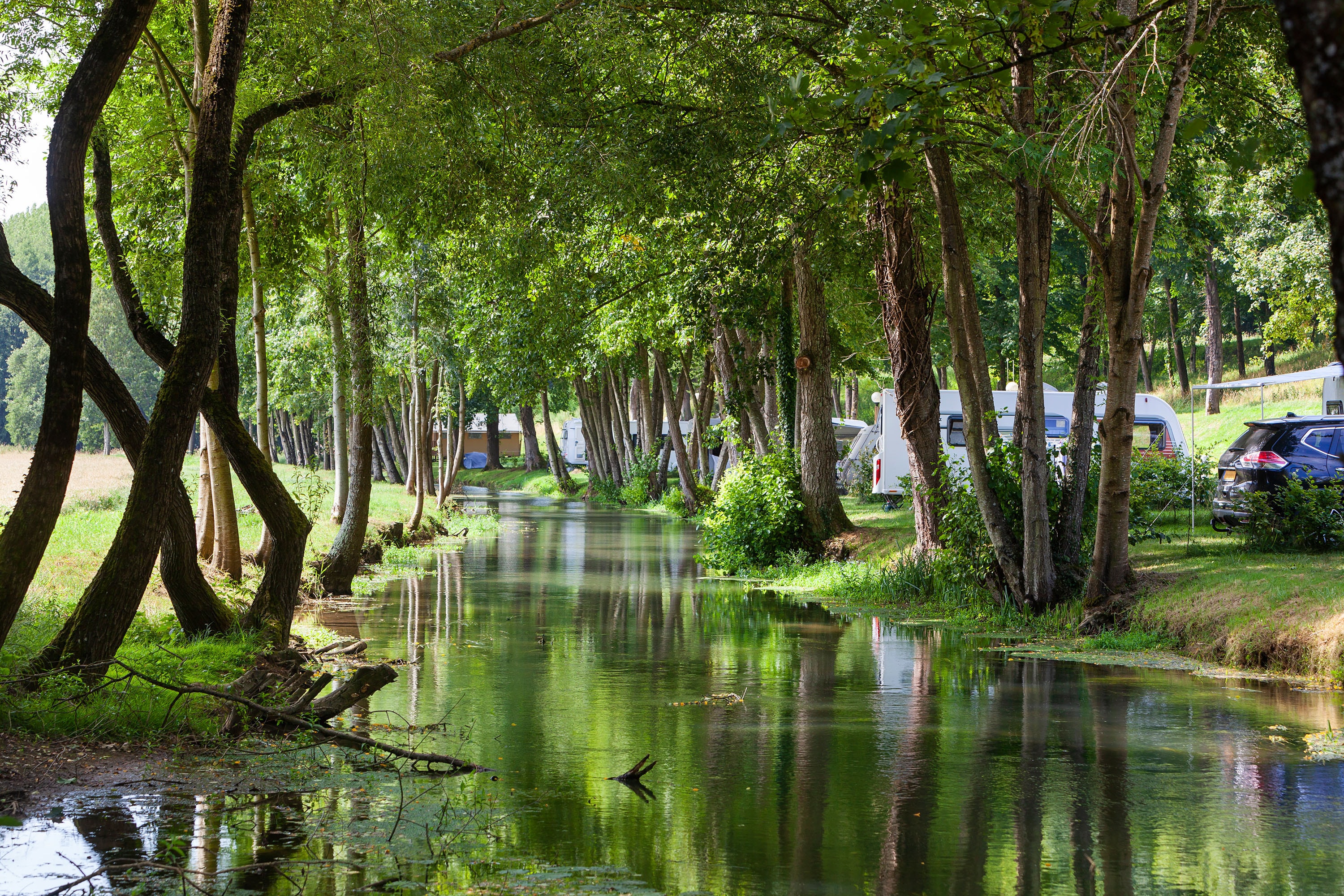 Vakantie naar Camping du Buisson in Haute Marne in Frankrijk