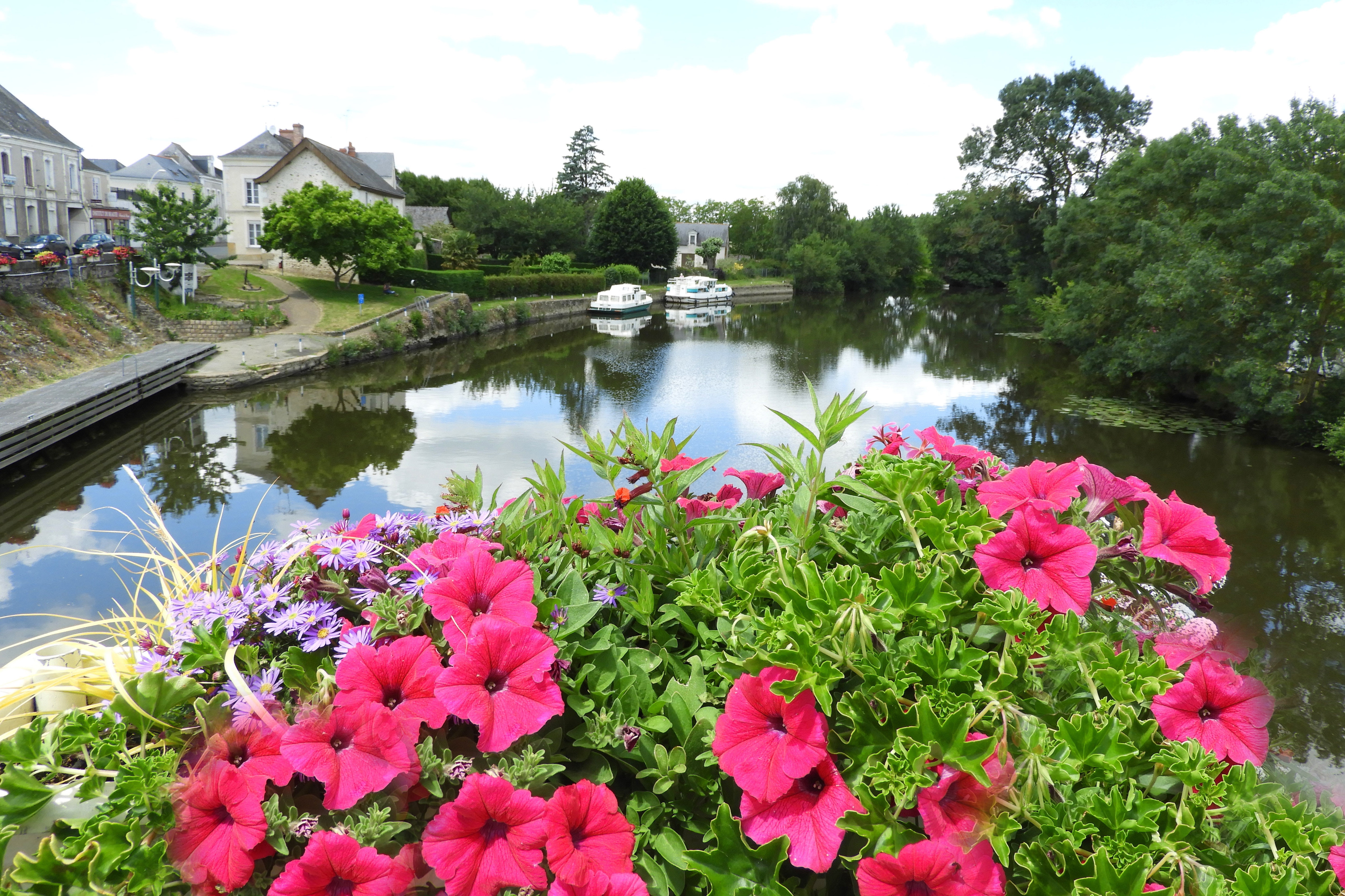 Vakantie naar Camping du Lion d'Angers in Maine Et Loire in Frankrijk