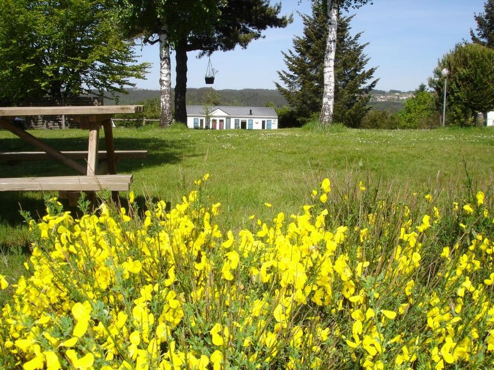 Vakantie naar Camping du Sabot in Saint Maurice De Lignon 1 in Frankrijk