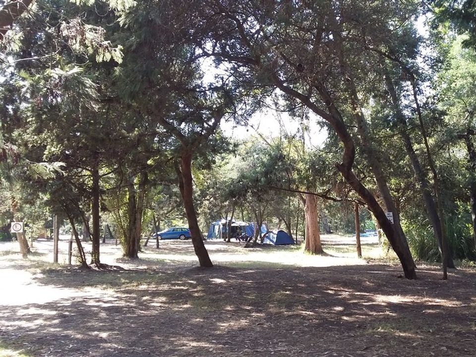 Camping Europa Beach vanaf € € 315,00!