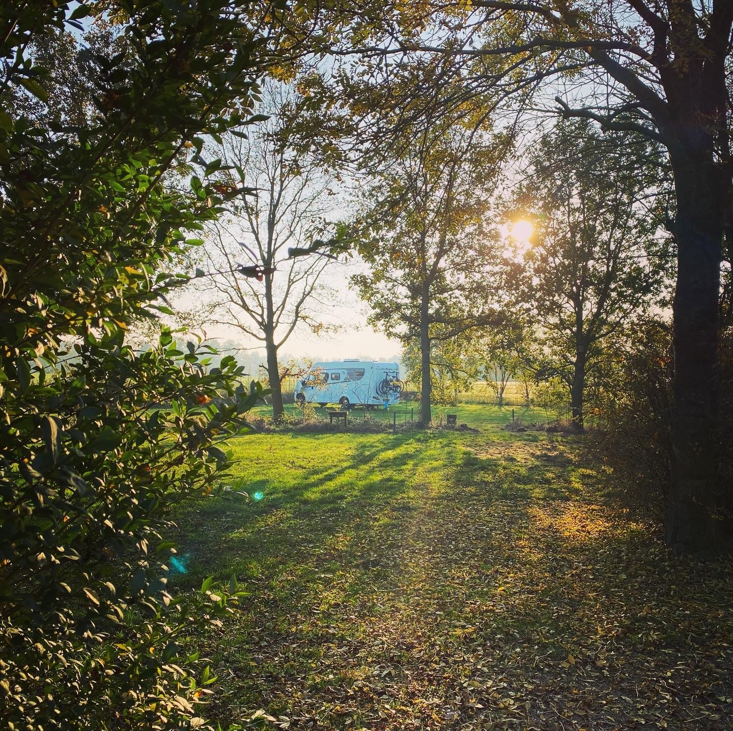 Vakantie naar Camping Groot Antink in Gelderland in Nederland