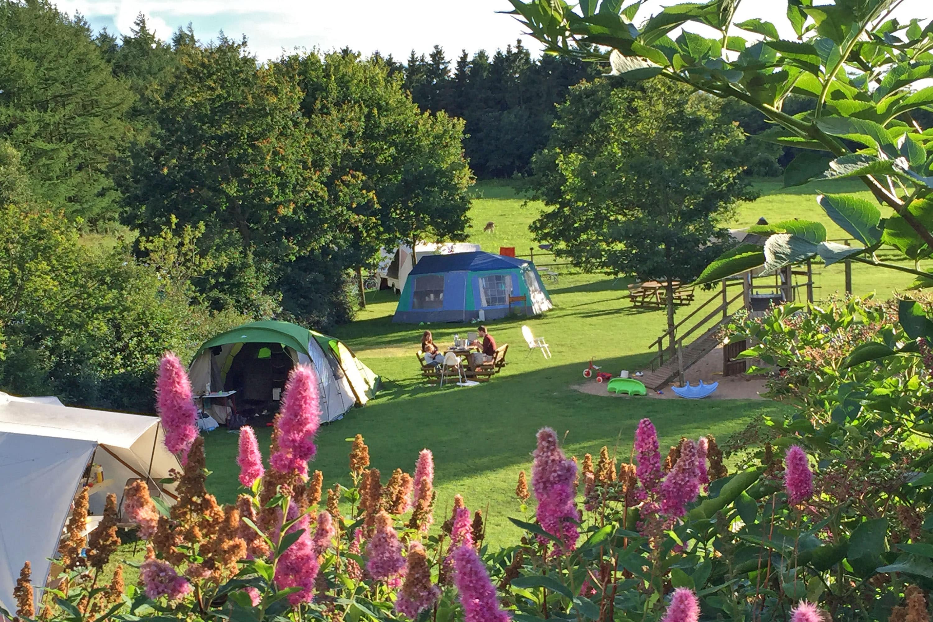 Vakantie naar Camping Gyvelborg in Midden Jutland in Denemarken