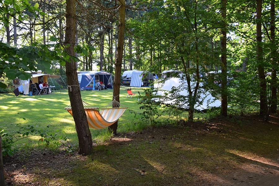 Vakantie naar Camping Het Horstmannsbos in Drenthe in Nederland