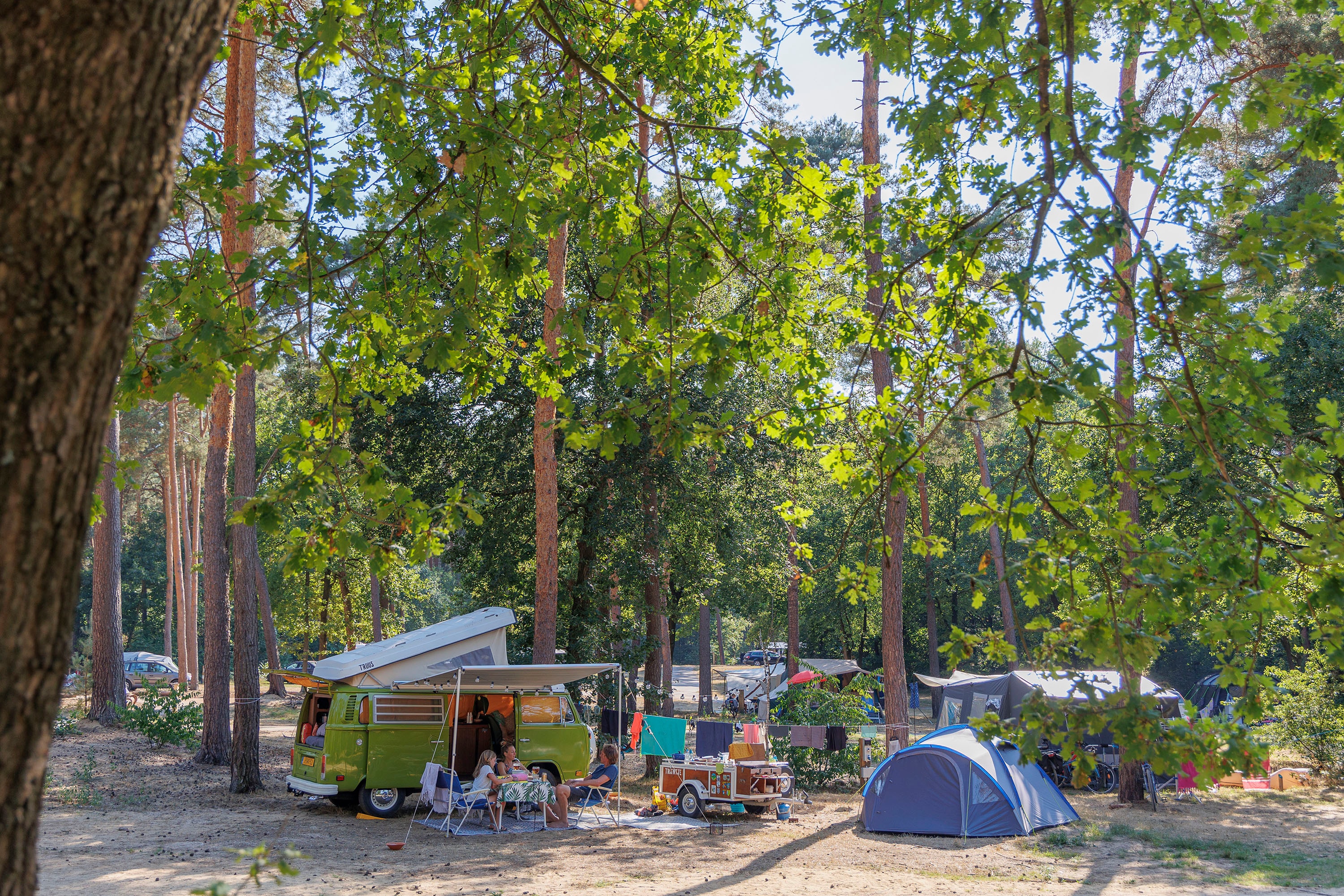 Vakantie naar Camping Huttopia De Meinweg in Limburg in Nederland