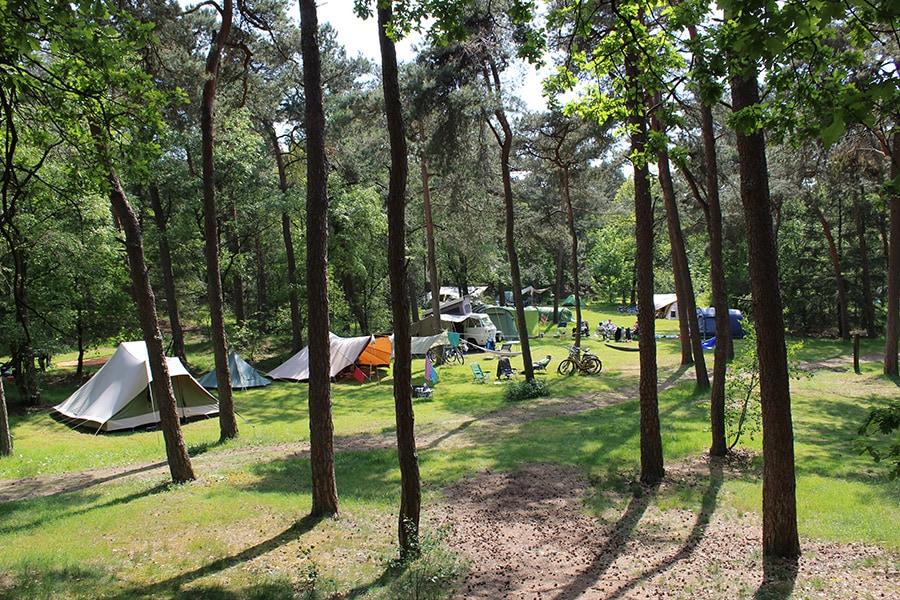 Vakantie naar Camping Huttopia De Veluwe in Gelderland in Nederland