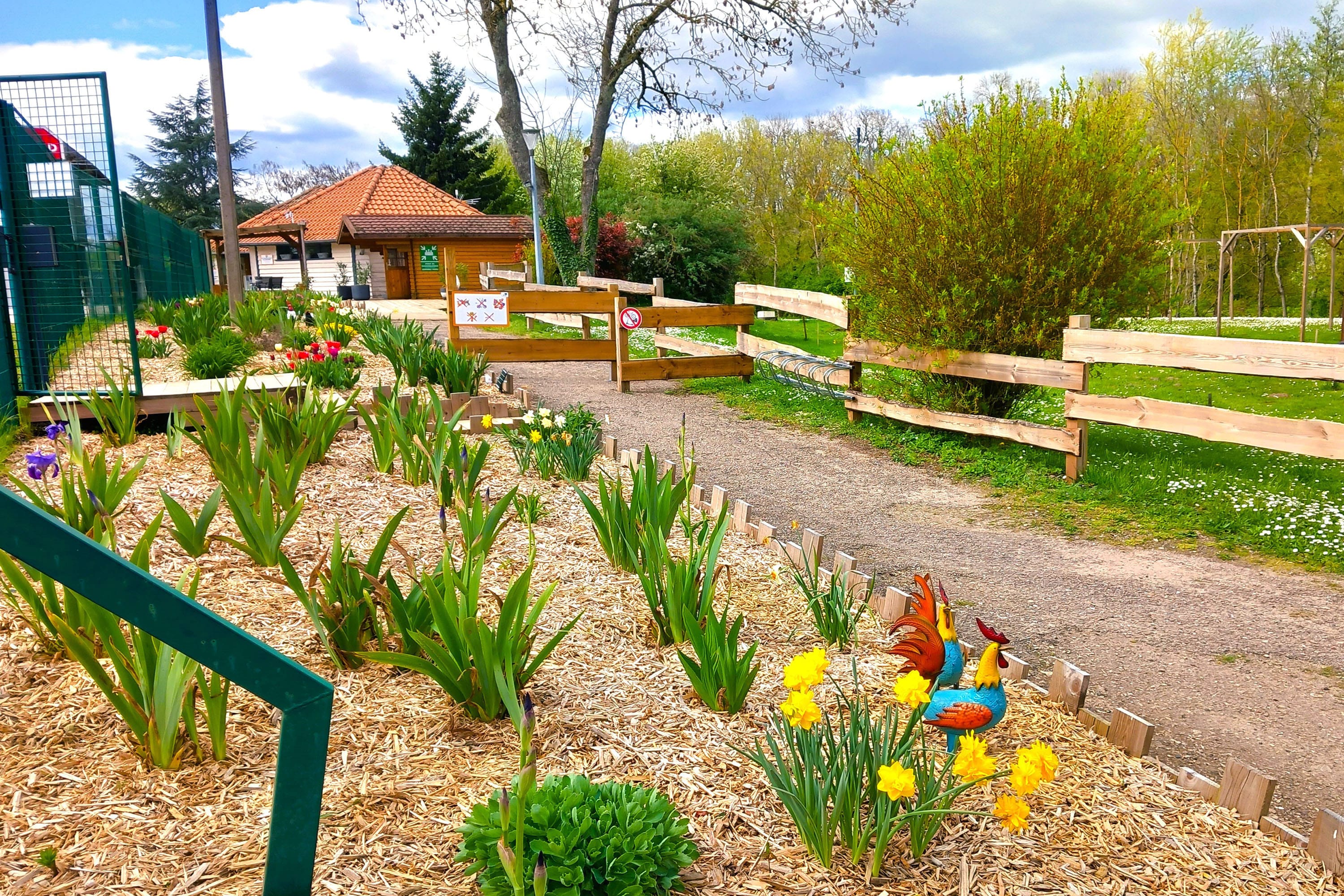 Vakantie naar Camping L'île aux mille Charmes in Vosges in Frankrijk