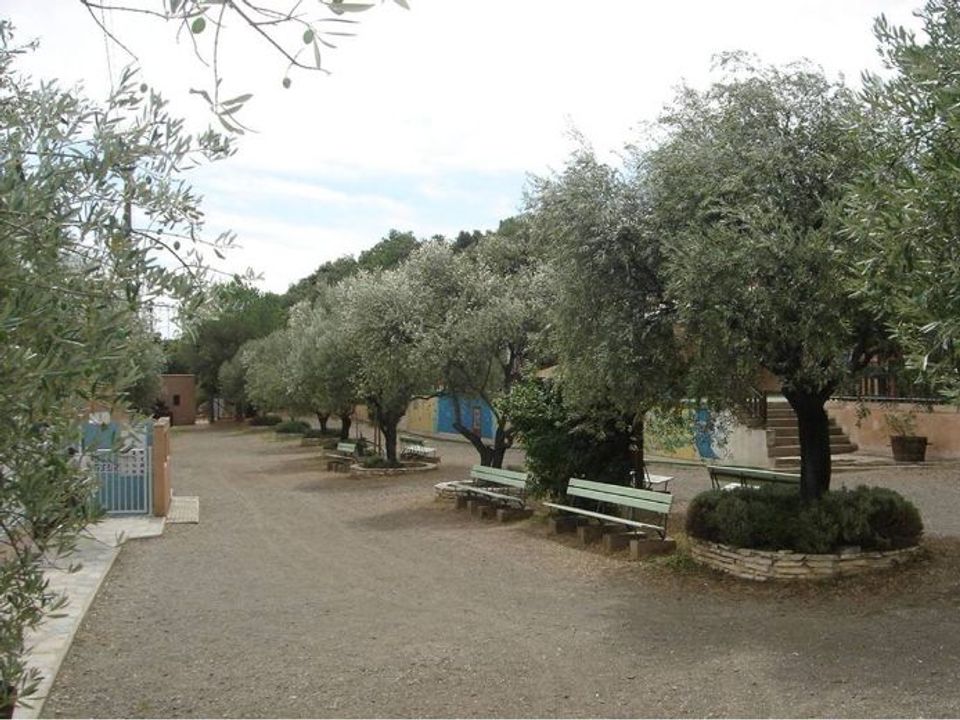 Camping L'oliveraie vanaf € 225,-!