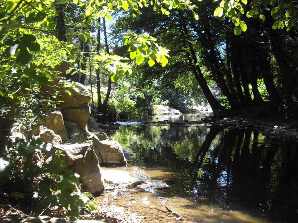 Camping L'Orée Des Cévennes vanaf € 190,-!