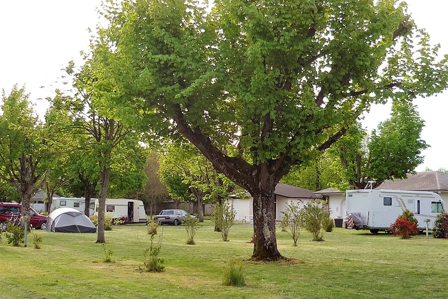 Vakantie naar Camping La Gâtine Onlycamp in Indre Et Loire in Frankrijk