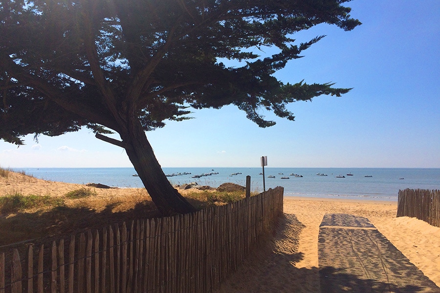 Vakantie naar Camping La Grande Vallée in Vendée in Frankrijk