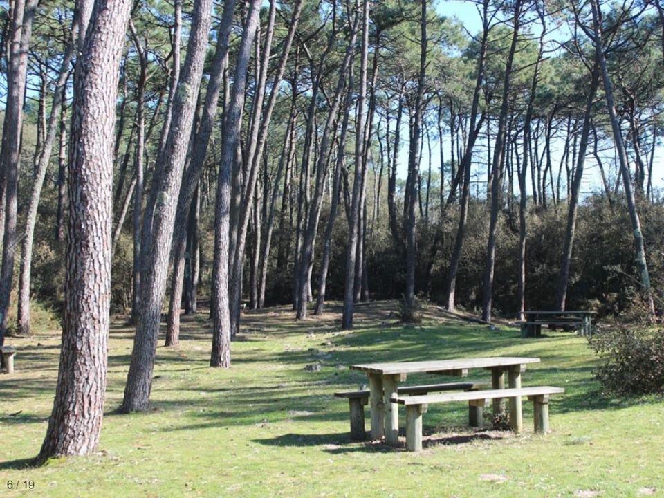 Camping Le Bosquet vanaf € 119,-!