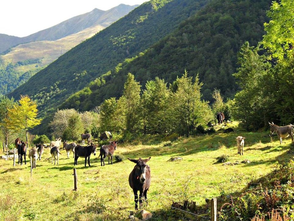 Camping Le Haut Salat vanaf &euro; 330,-!