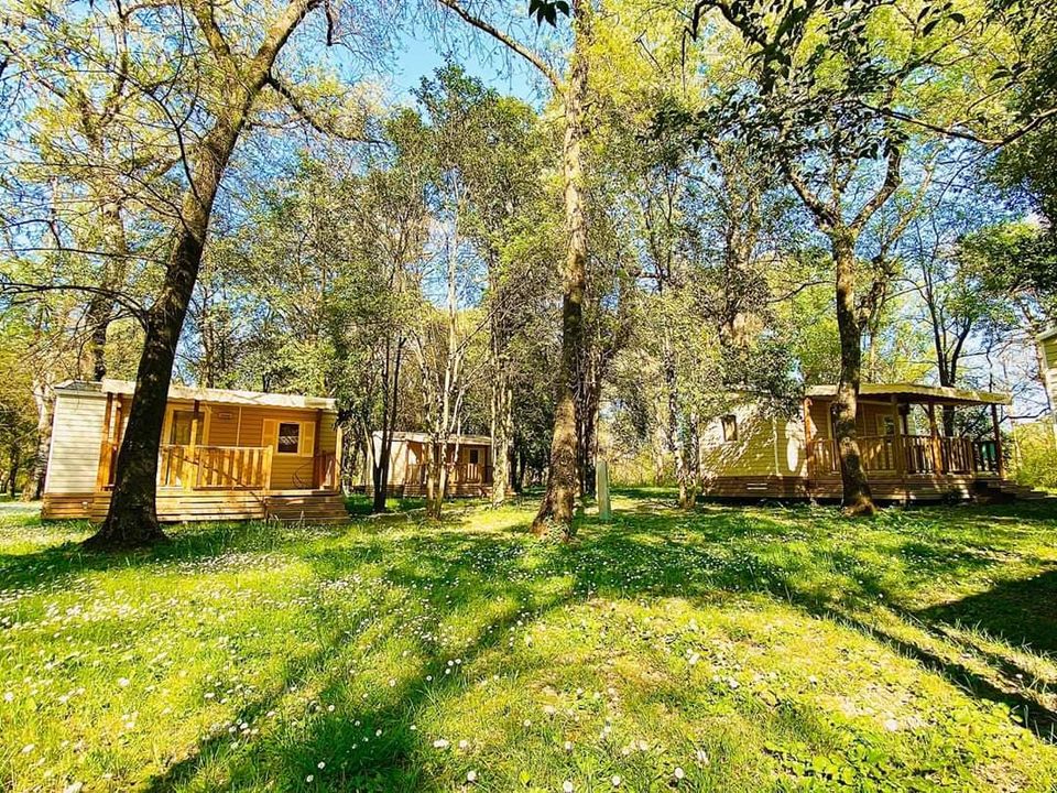 Camping Le Lion vanaf € € 109,00!