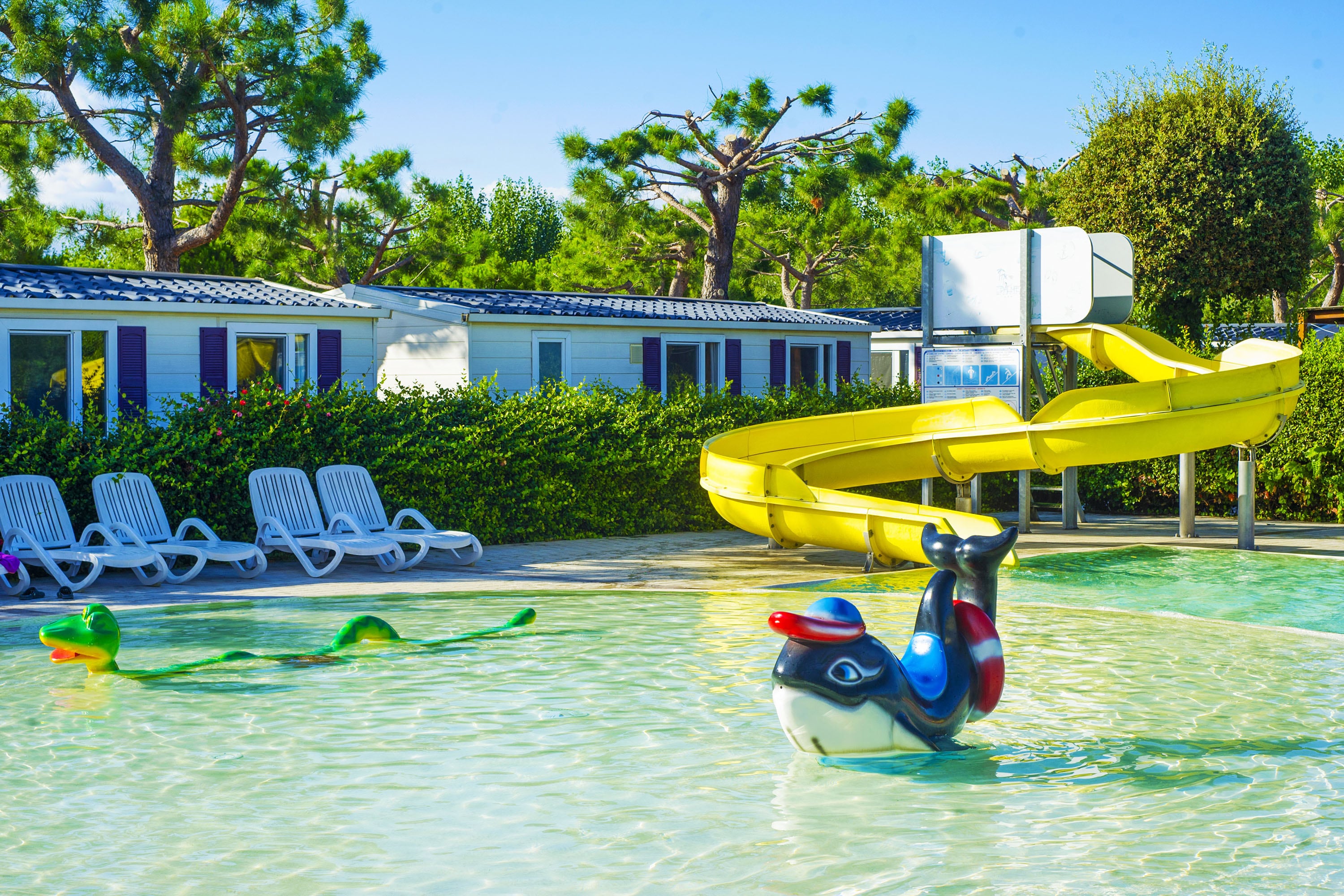 Vakantie naar Camping Le Palme in Verona in Italië