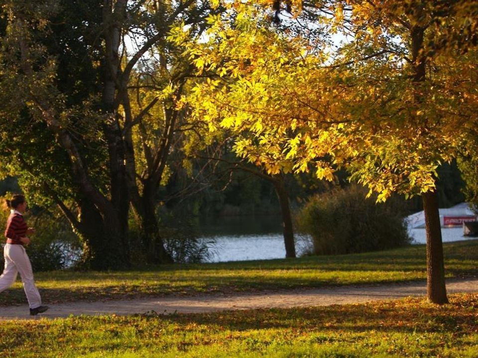 Vakantie naar Camping Le Rupé in Toulouse in Frankrijk