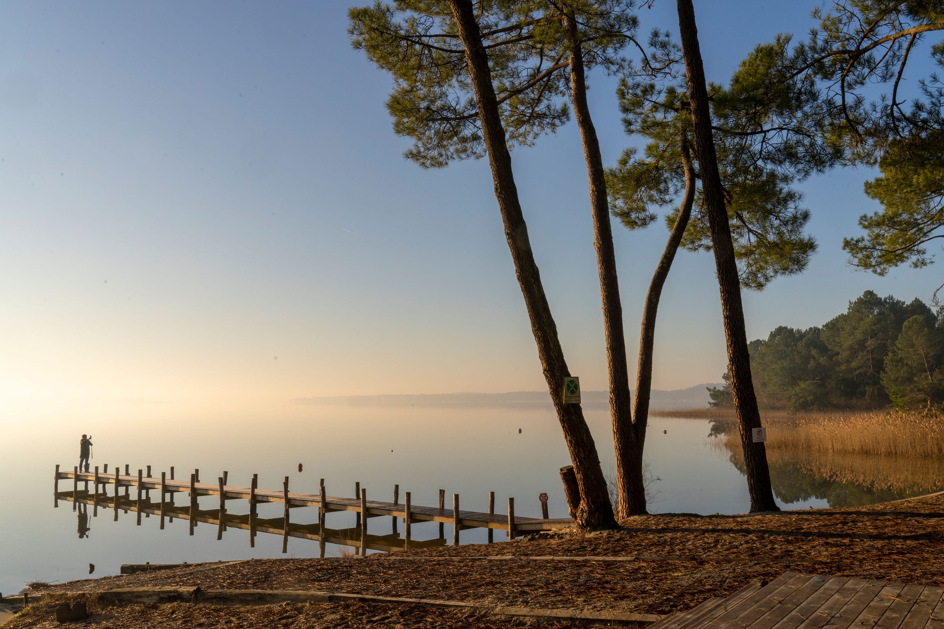 Vakantie naar Camping le Tedey   Ciela Village in Gironde in Frankrijk