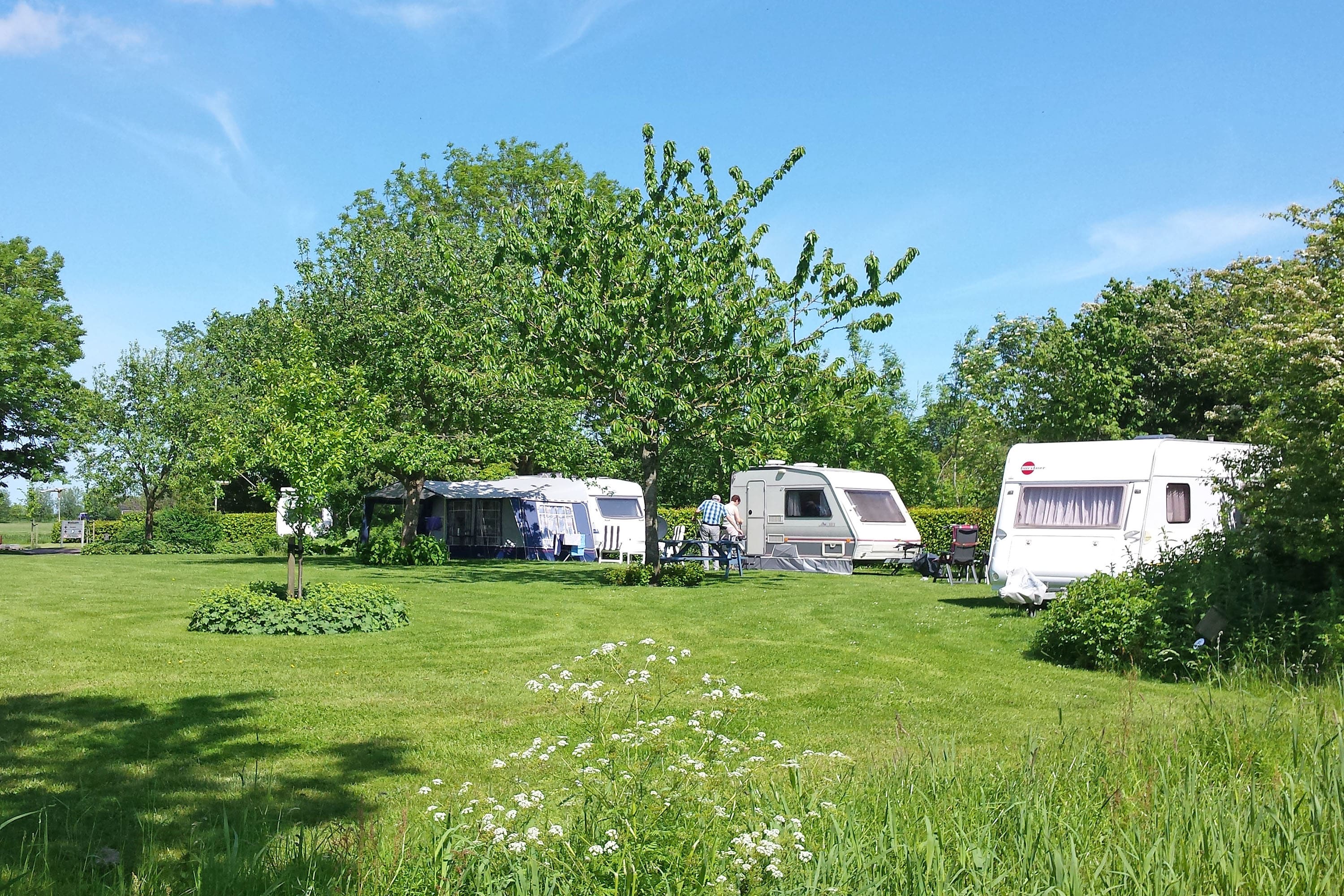 Vakantie naar Camping Lentemaheerd in Groningen in Nederland