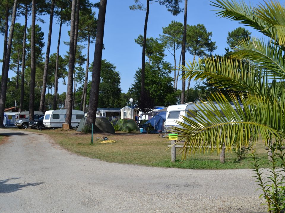 Camping Les Echasses vanaf € 227,-!