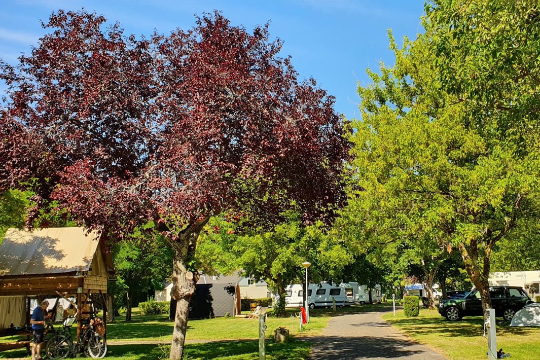 Vakantie naar Camping Les Patîs in Indre Et Loire in Frankrijk