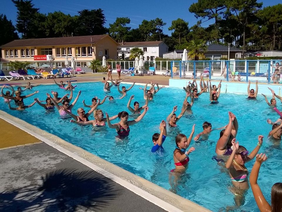 Vakantie naar Camping Les Préveils in La Tranche Sur Mer in Frankrijk