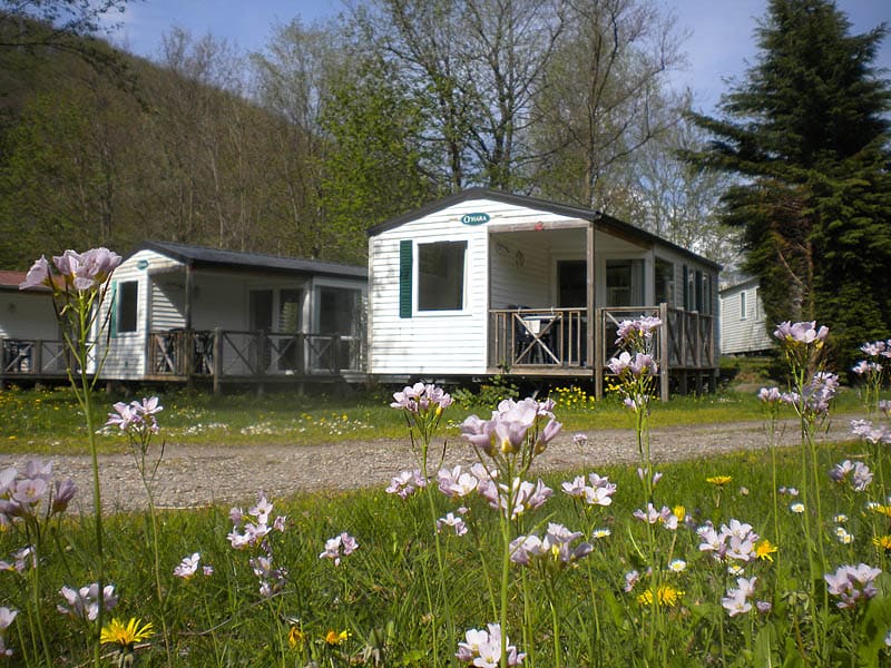 Vakantie naar Camping Les Reflets du Val d'Argent in Haut Rhin in Frankrijk