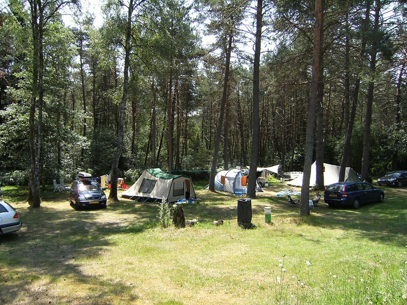 Vakantie naar Camping Les Sapins de Corrèze in Corrèze in Frankrijk