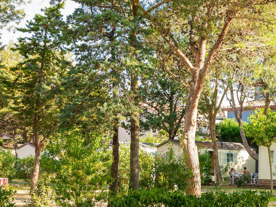 Camping Ma Prairie vanaf &euro; 365,-!