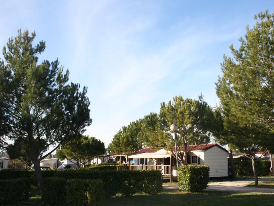 Camping Manon vanaf € 315,-!