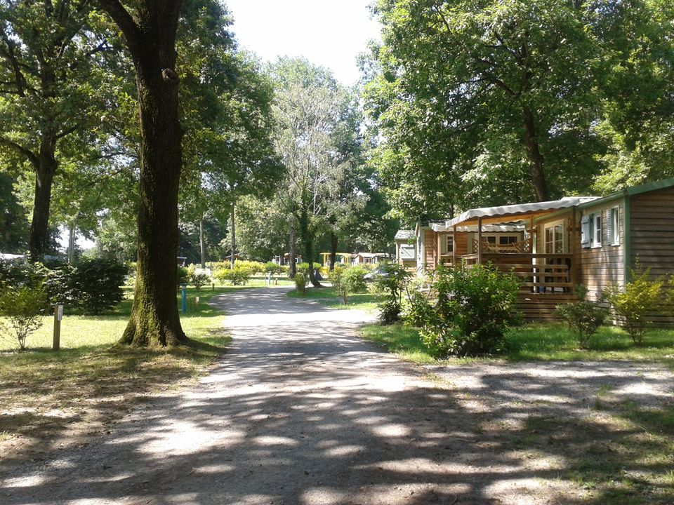 Camping OAKi vanaf € € 232,00!