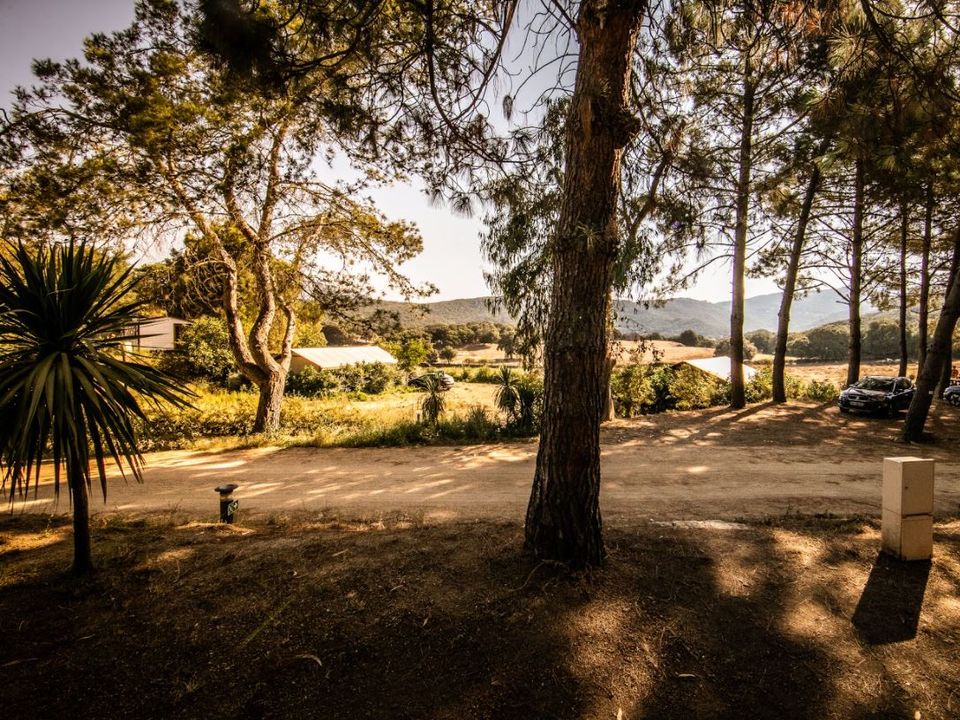 Vakantie naar Camping Olva in Sartene in Frankrijk