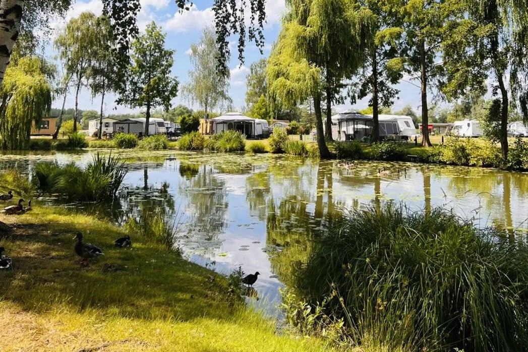 Vakantie naar Camping Papillon Kinrooi in Limburg in België