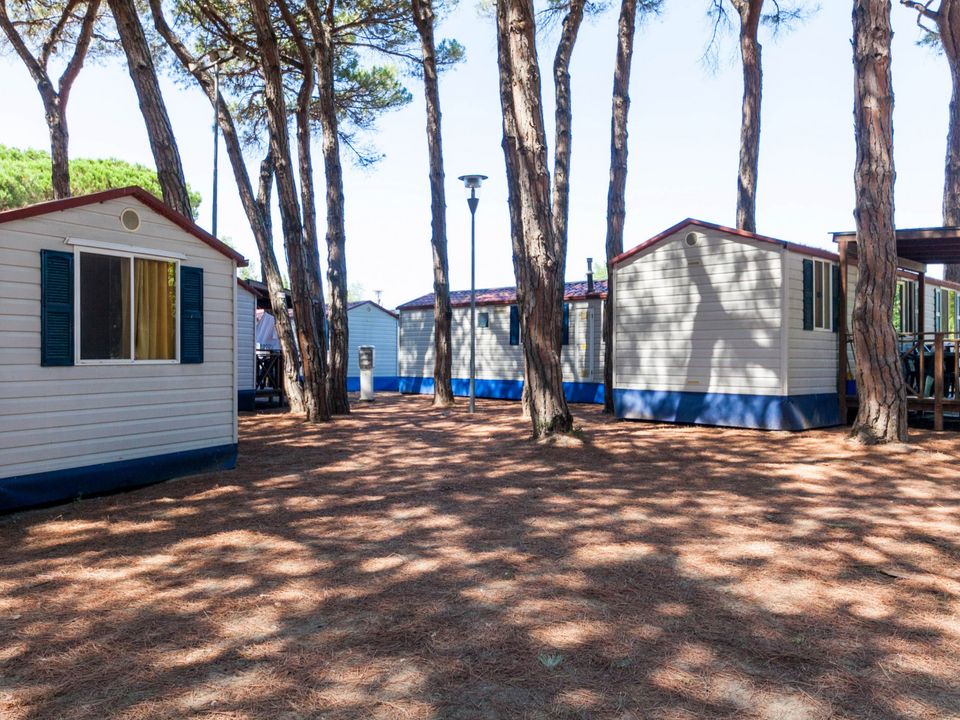 Camping Pineta Sul Mare vanaf € 252,-!