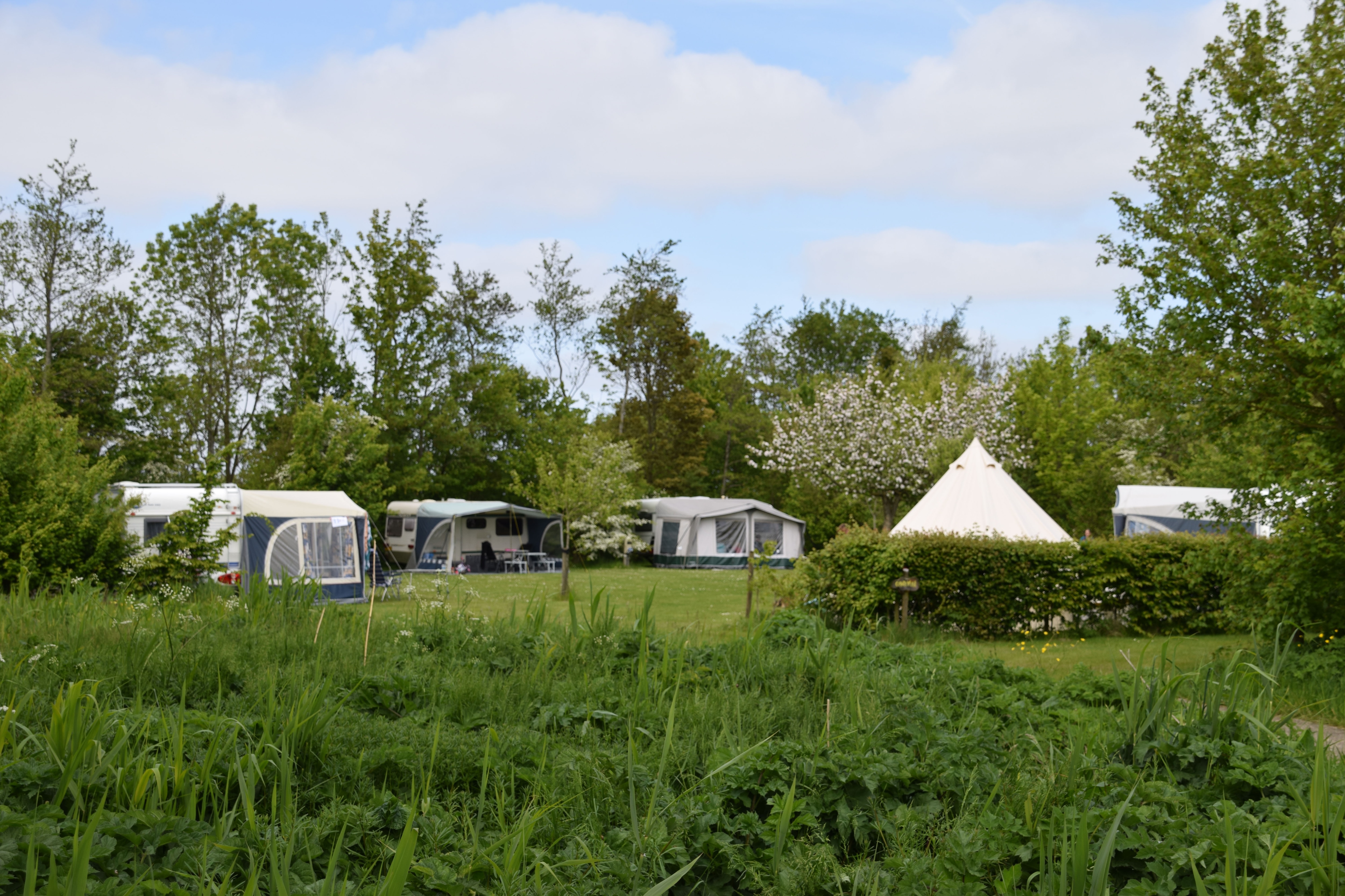 Vakantie naar Camping Robersum in Groningen in Nederland