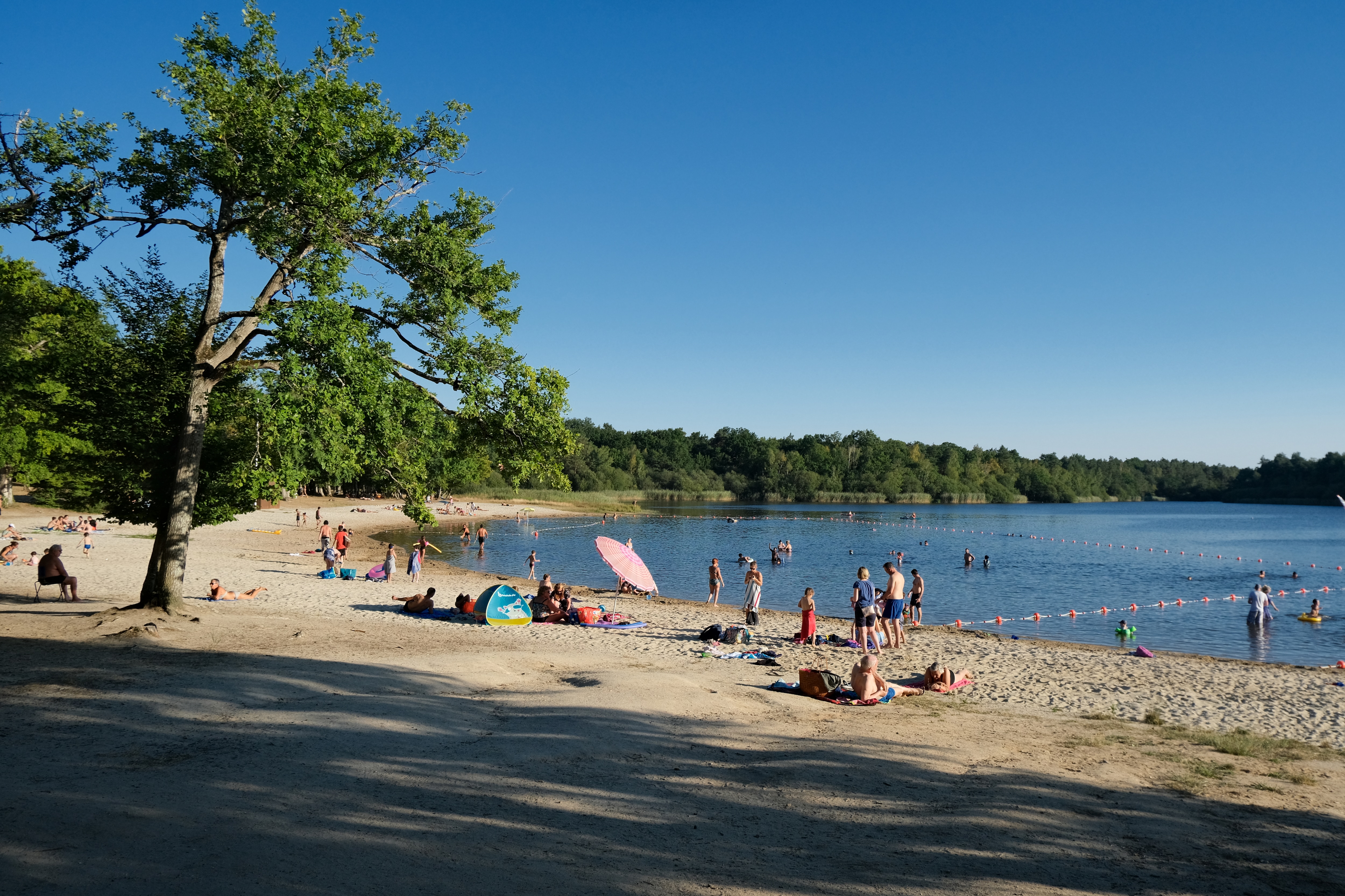 Vakantie naar Camping Seasonova l'Étang des Bois in Loiret in Frankrijk